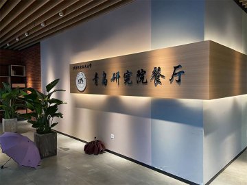 導(dǎo)視系統(tǒng)
